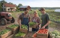 Крестьянское фермерское хозяйство (КФХ)