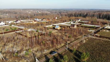 Вторая весна в Гибкино