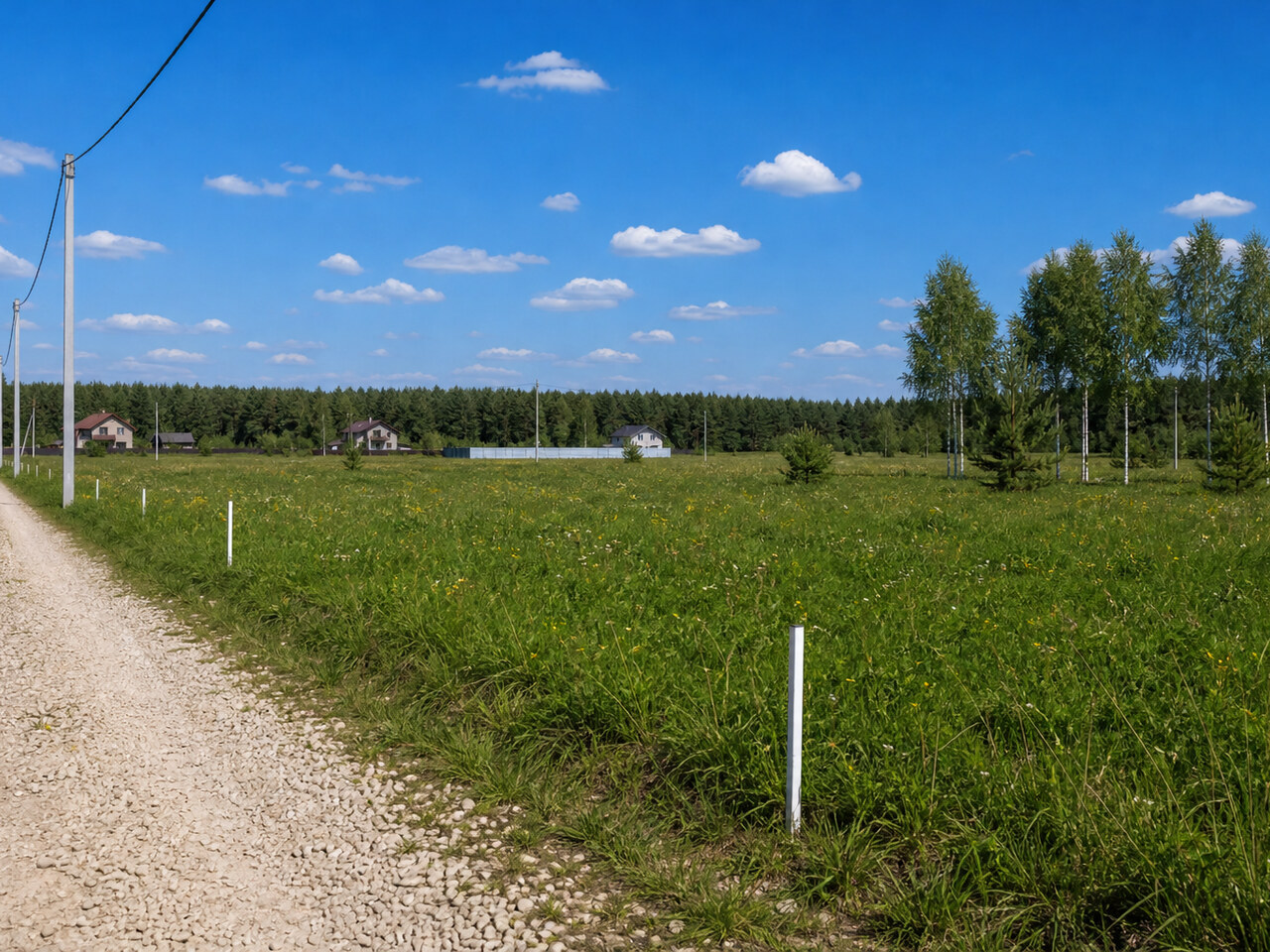Участок №62 площадью 8 соток в деревне Конюшино