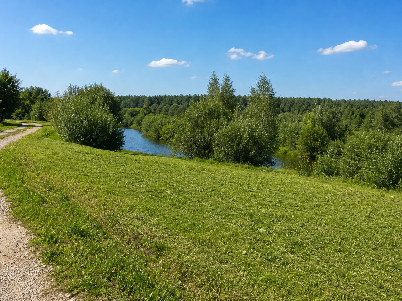 Участок №266 площадью 20.3 соток в поселке Васильково