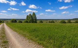 Фото участка № 35 площадью 10.00 сот. в деревне Дмитриевское