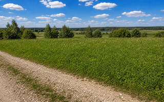 Фото участка № 31 площадью 11.93 сот. в деревне Дмитриевское