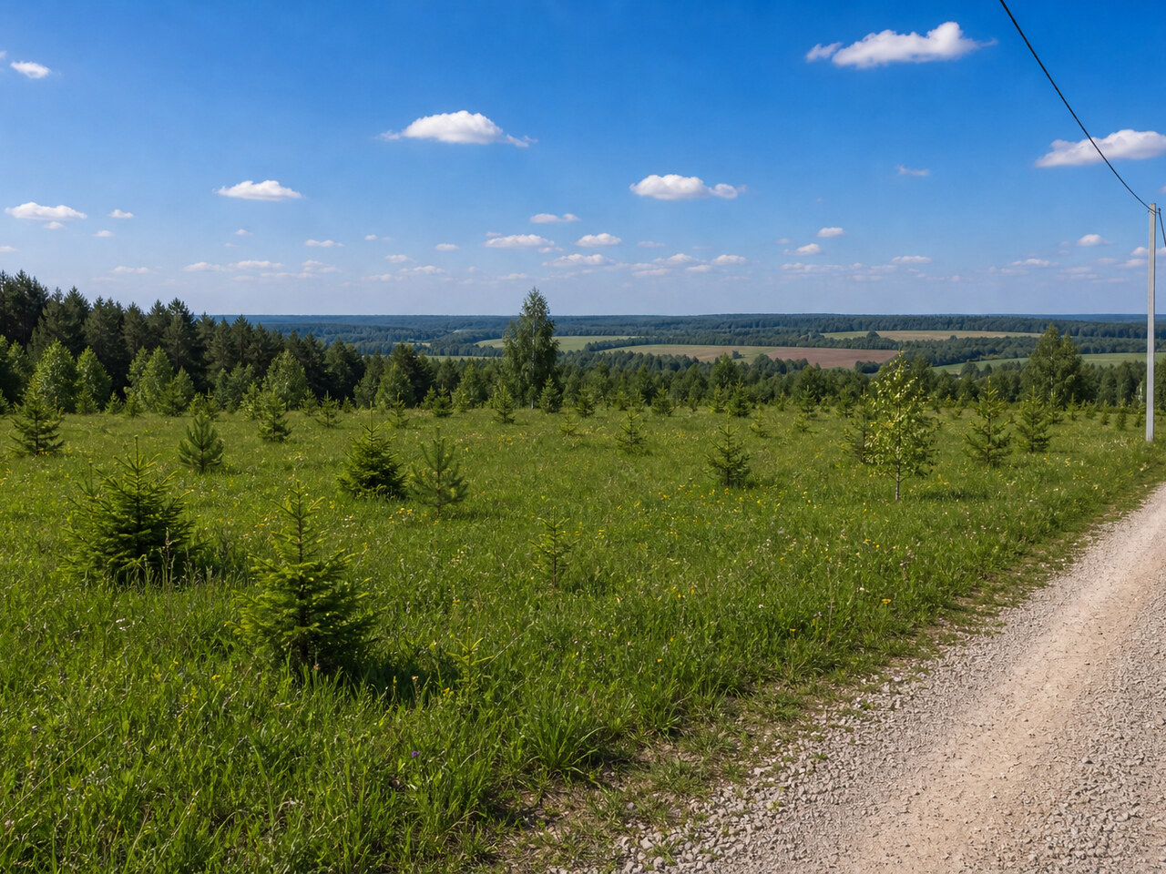 Участок №37 площадью 14.2 соток в поселке Крюково