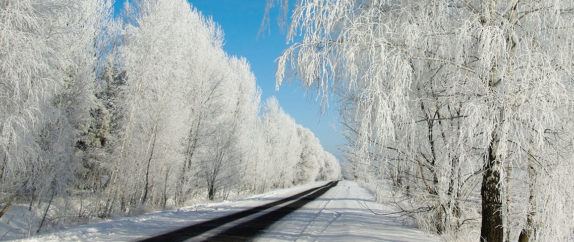 Незабудкино