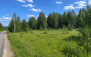 Фото участка № 4 площадью 10.00 сот. в деревне Лесновка