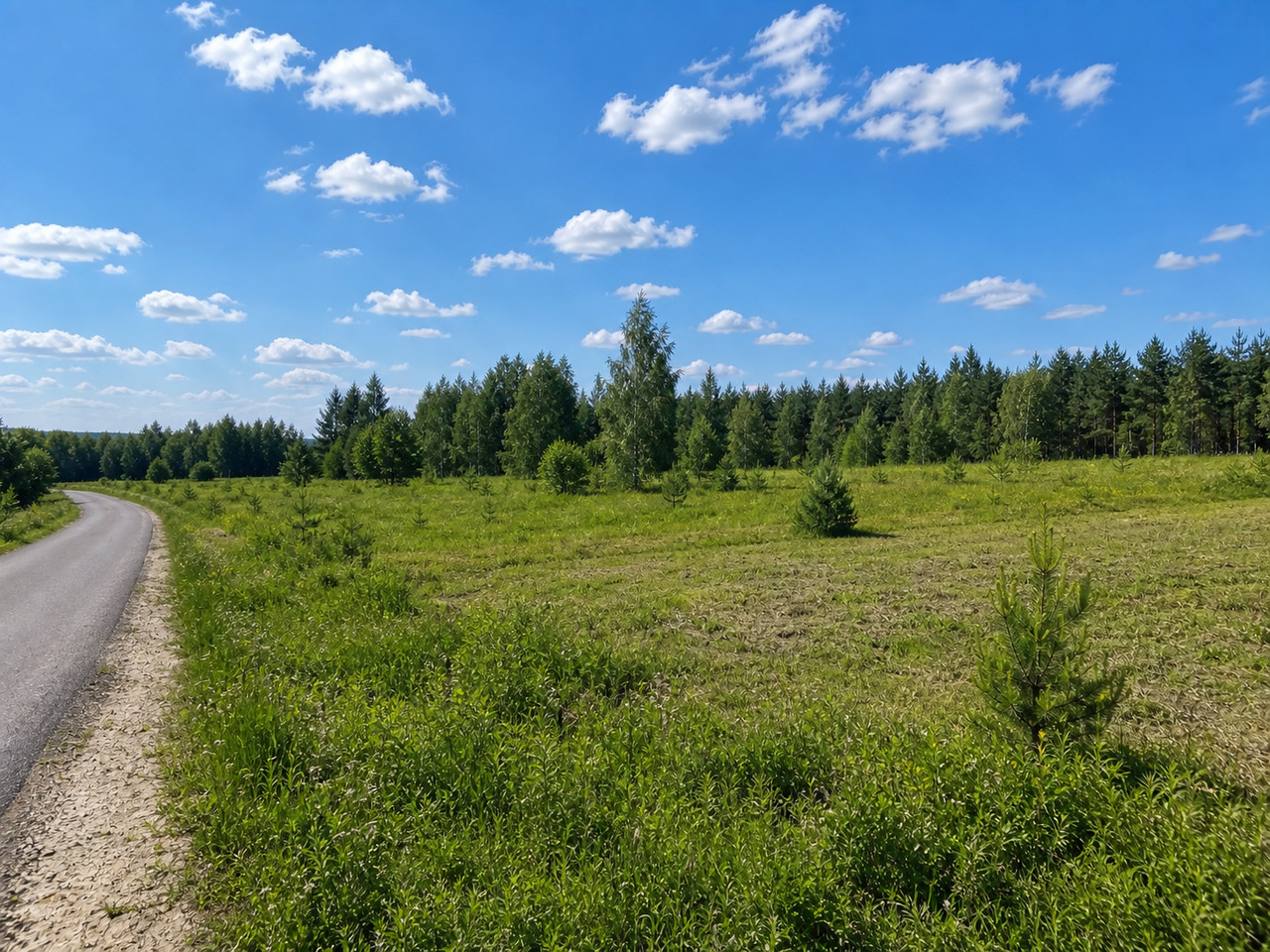Участок №10 площадью 19.5 соток в деревне Лесновка