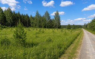 Фото участка № 13 площадью 10.50 сот. в деревне Лесновка