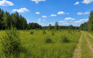 Фото участка № 25 площадью 10.50 сот. в деревне Лесновка