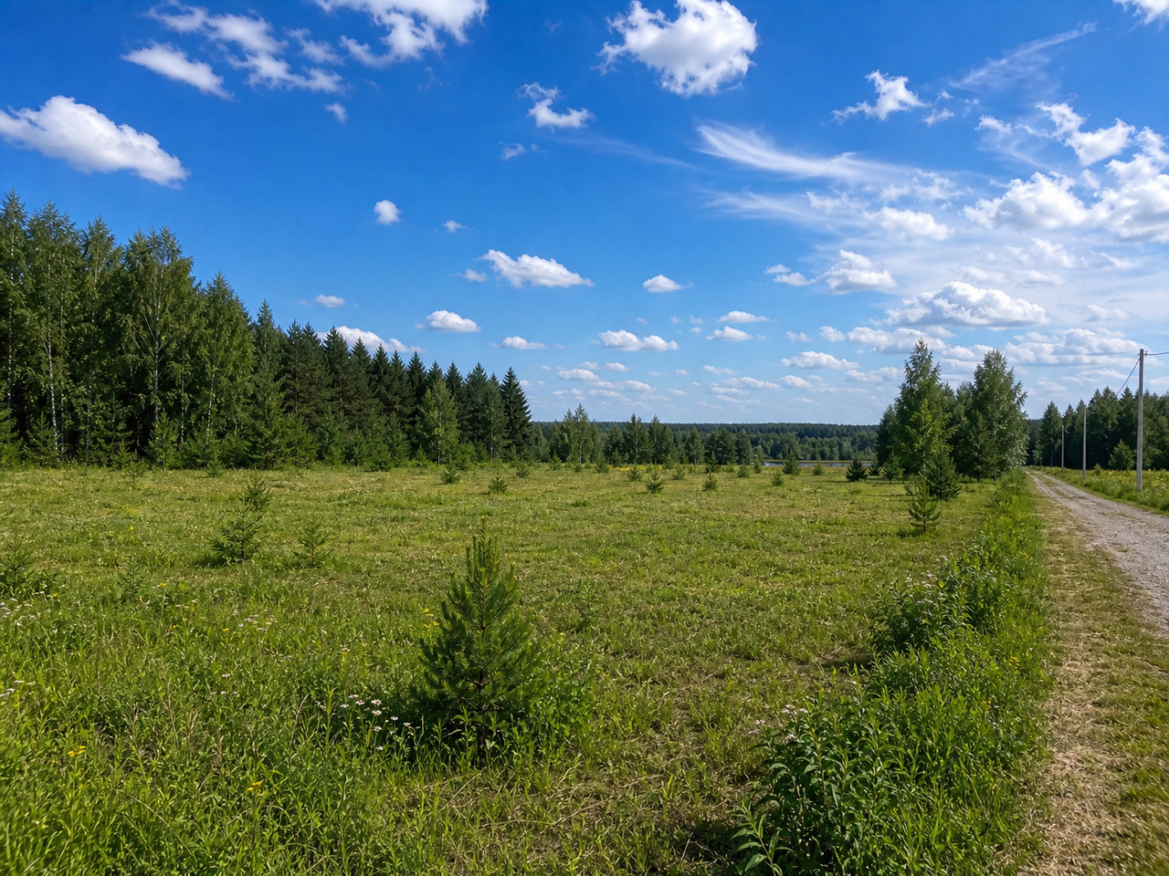 Участок №27 площадью 11.6 соток в деревне Лесновка