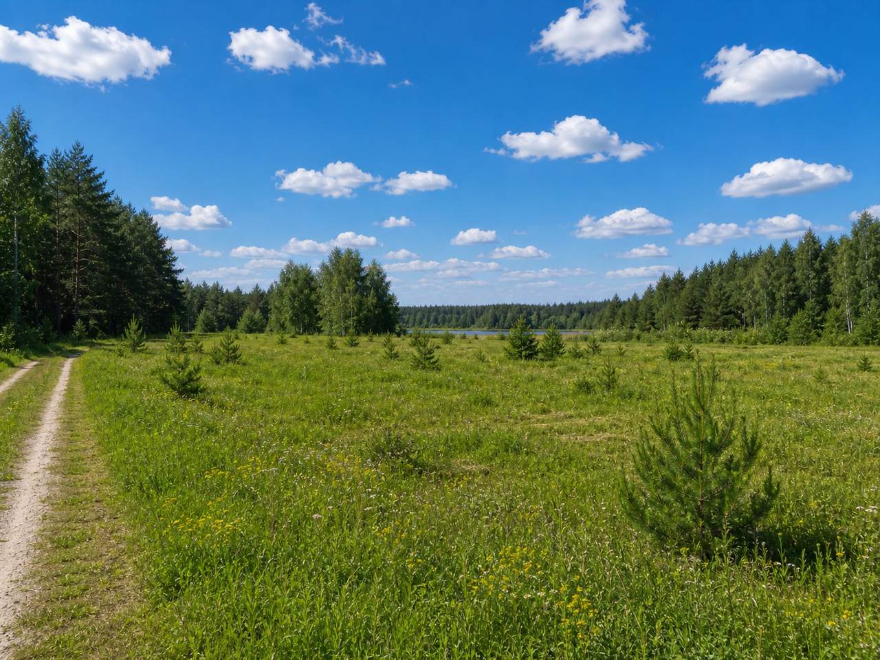 Участок №49 площадью 17.9 соток в деревне Лесновка