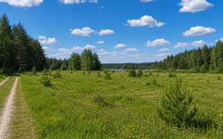 Фото участка № 49 площадью 17.91 сот. в деревне Лесновка