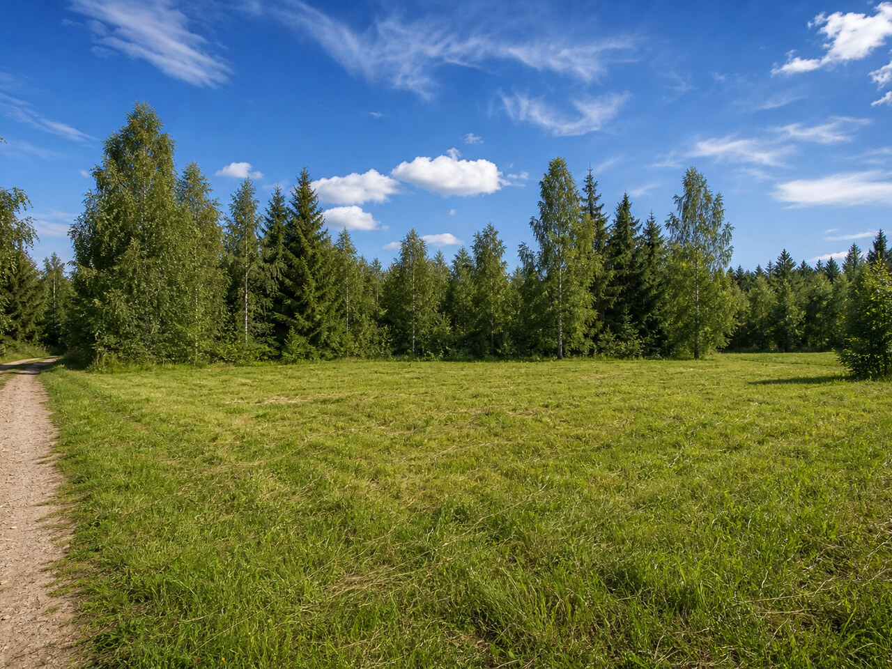 Участок №43 площадью 18.9 соток в деревне Горохово Эко