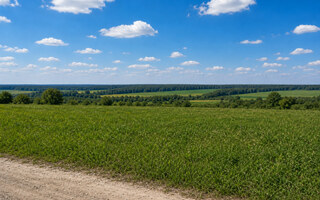 Фото участка № 44 площадью 10.32 сот. в поселке Бутиково